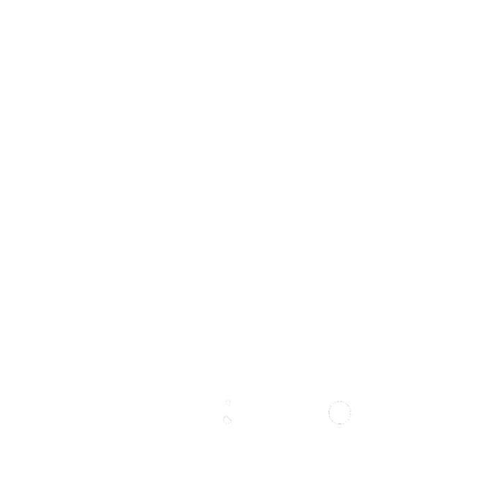 Sticks and Stones Jewelry Logo